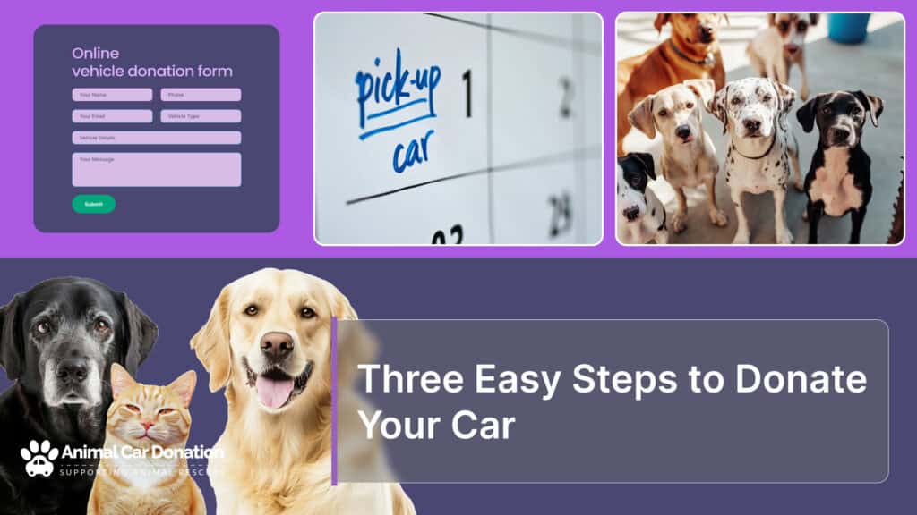 Three Easy Steps to Donate Your Car