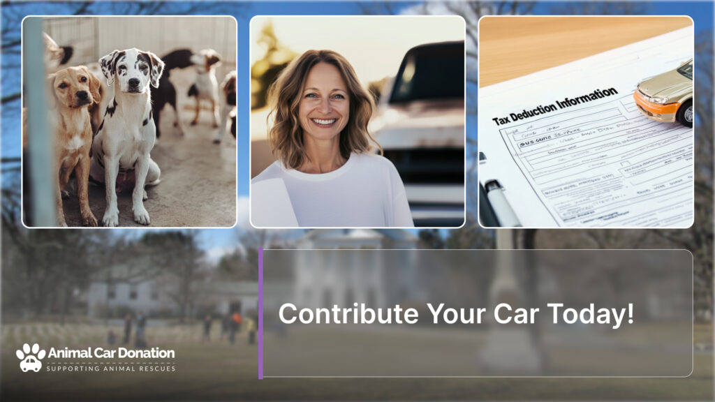 Contribute Your Car Today!
