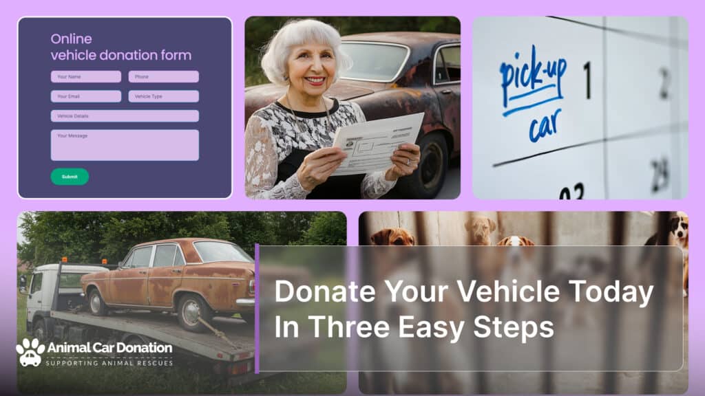 Donate Your Vehicle Today In Three Easy Steps