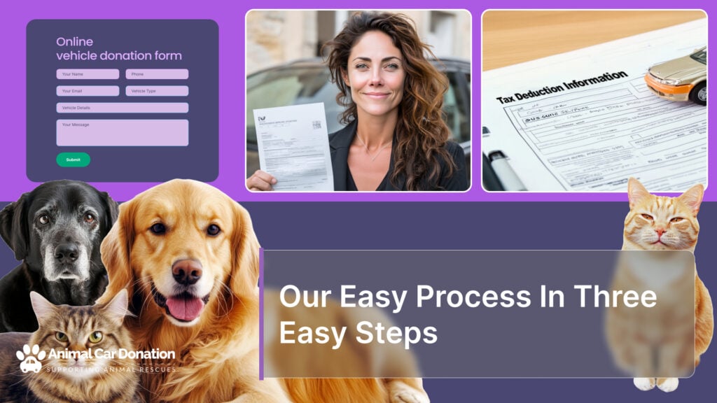 Our Easy Process In Three Easy Steps