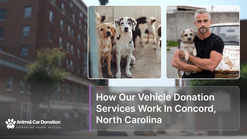 How Our Vehicle Donation Services Work In Concord, North Carolina