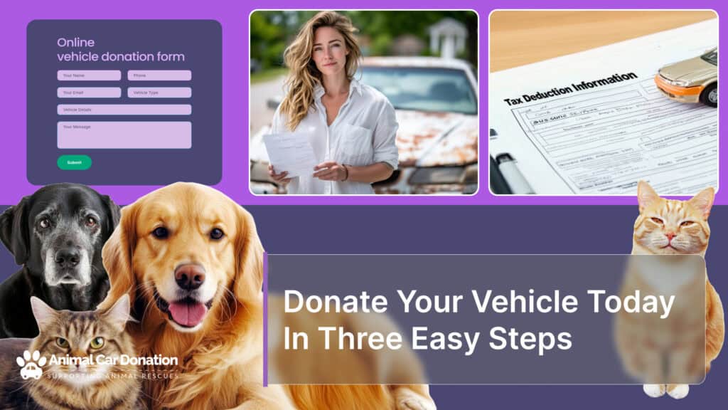 Donate Your Vehicle Today In Three Easy Steps