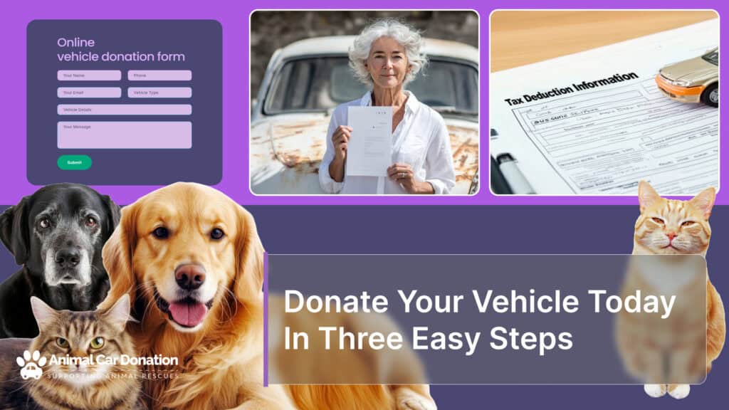 Donate Your Vehicle Today In Three Easy Steps