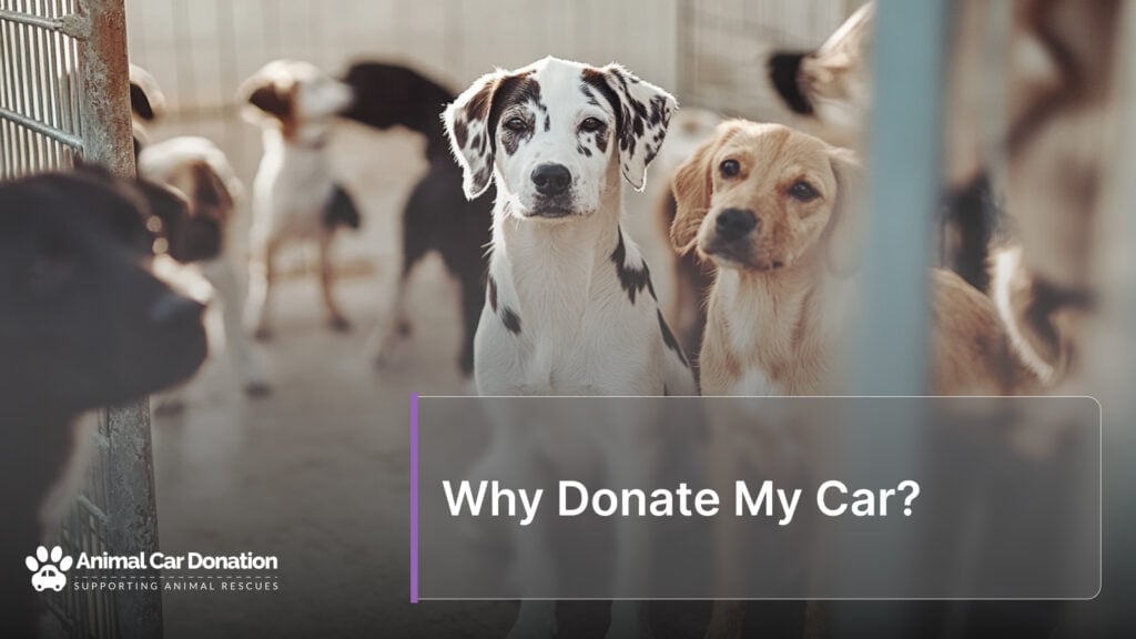 Why Donate My Car?