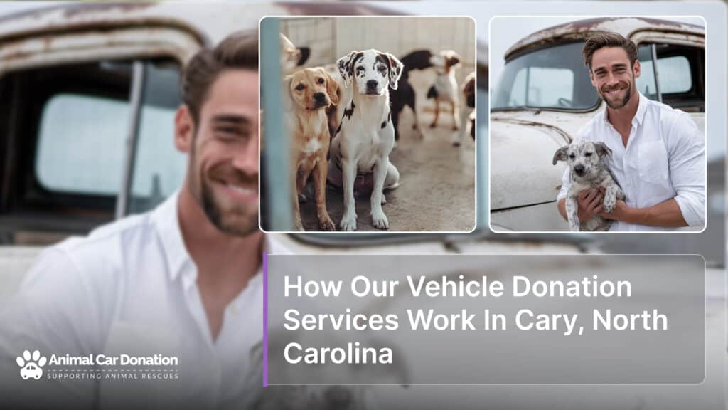 How Our Vehicle Donation Services Work In Cary, North Carolina