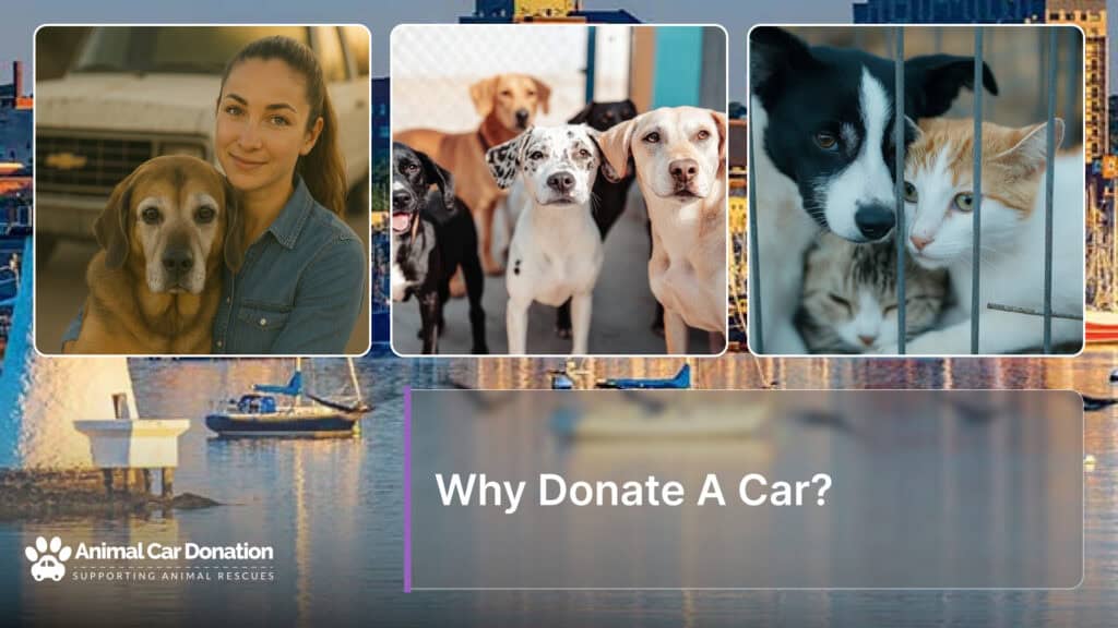 Why Donate A Car?