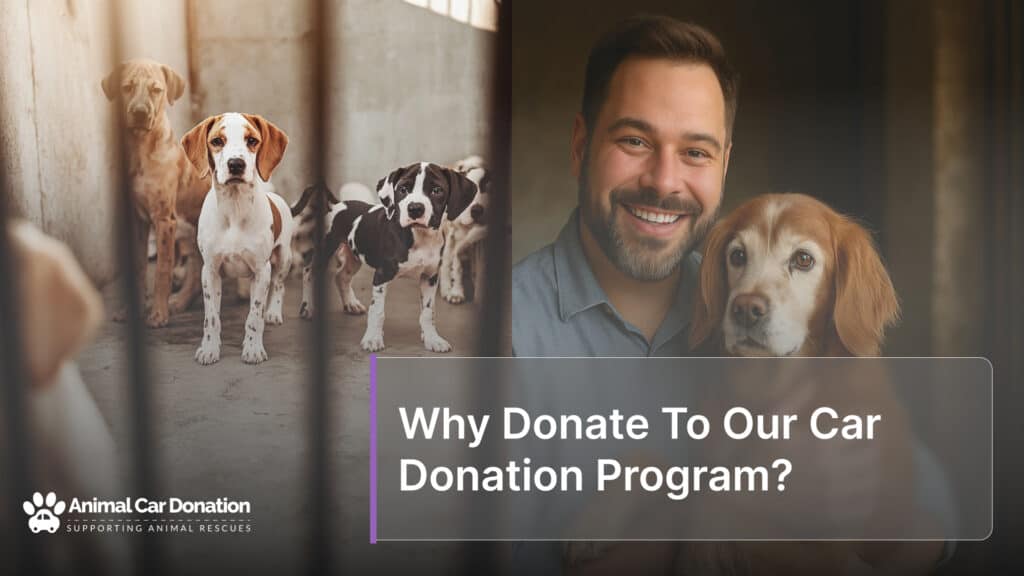Why Donate To Our Car Donation Program