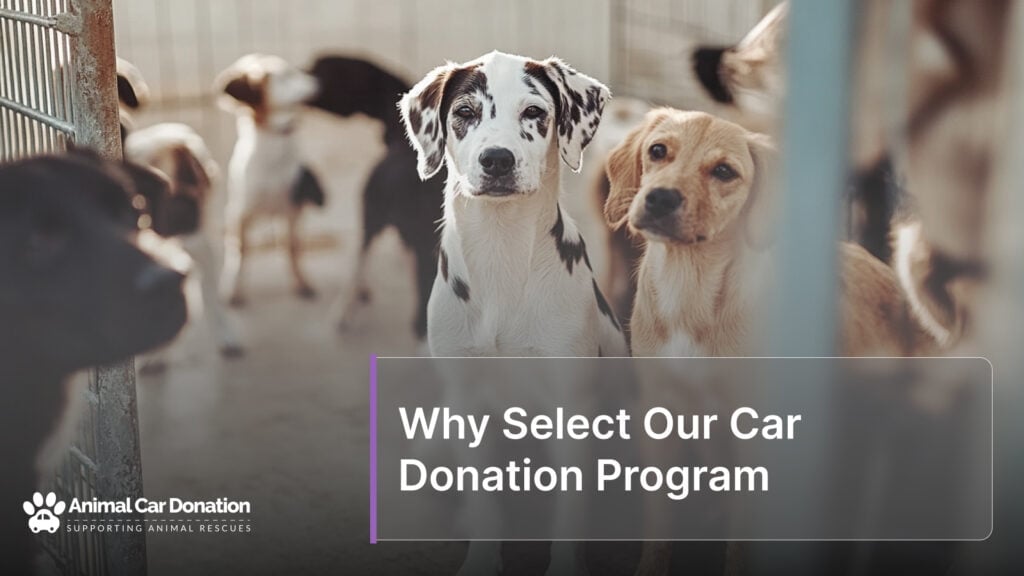 Why Select Our Car Donation Program