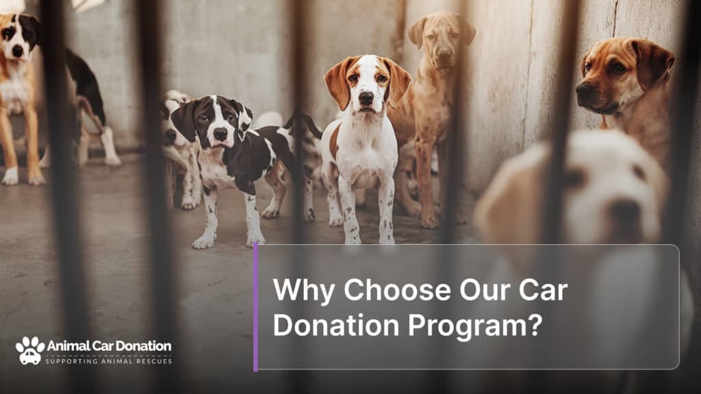 Why Choose Our Car Donation Program