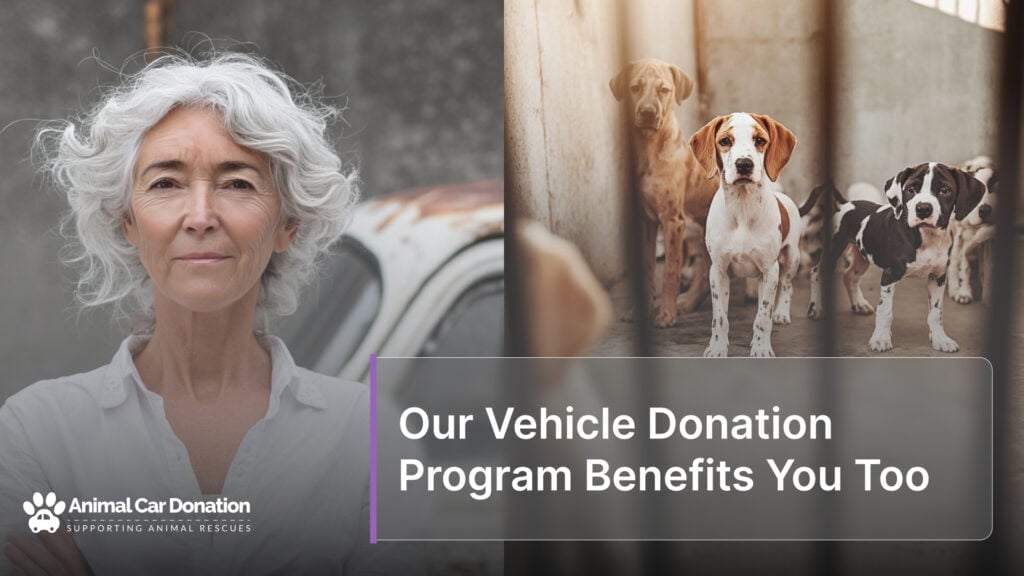 Our Vehicle Donation Program Benefits You Too