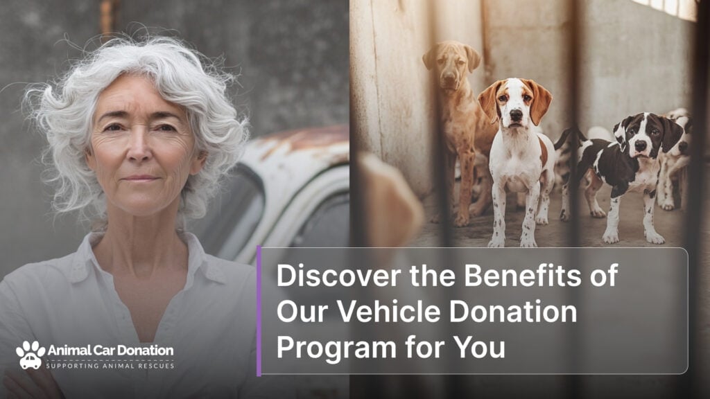 Discover the Benefits of Our Vehicle Donation Program for You