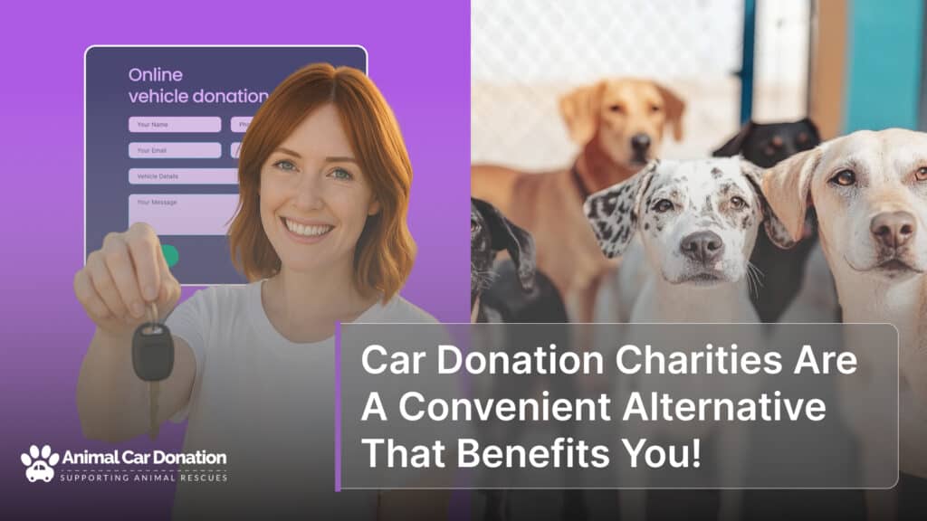 Car Donation Charities Are A Convenient Alternative That Benefits You