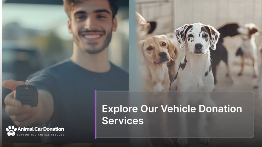 Explore Our Vehicle Donation Services