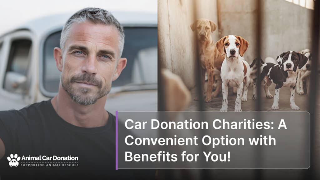 Car Donation Charities: A Convenient Option with Benefits for You!