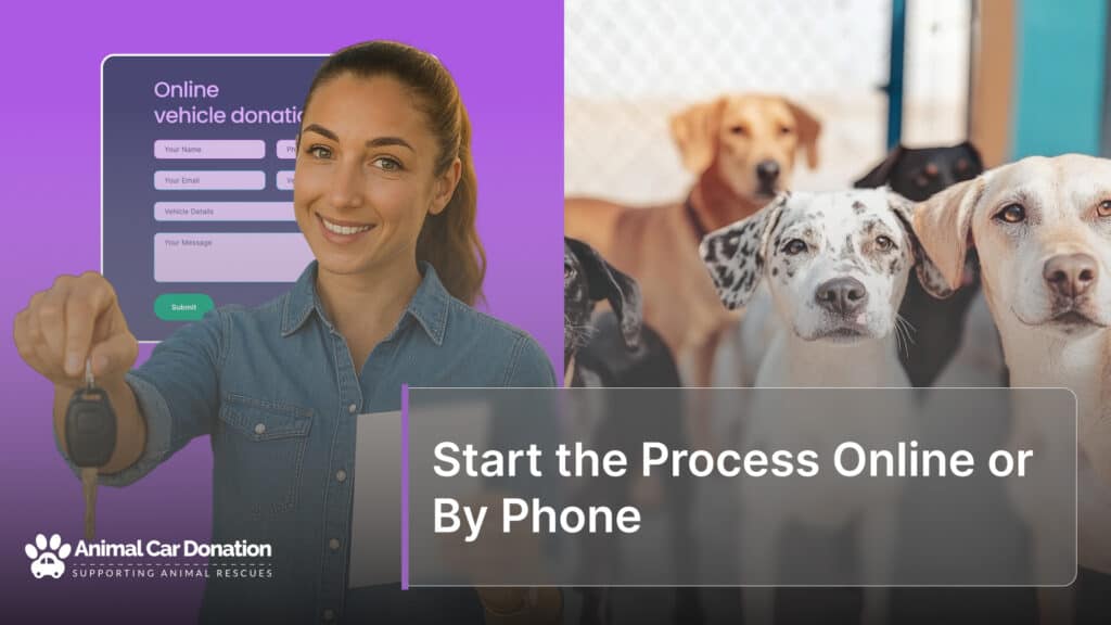 Start the Process Online or By Phone