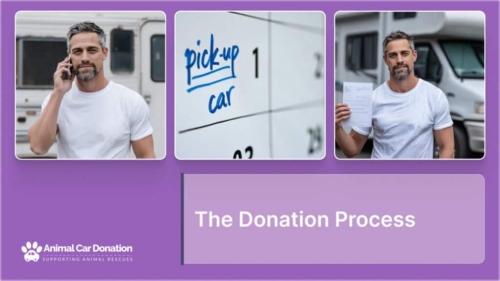 The Donation Process