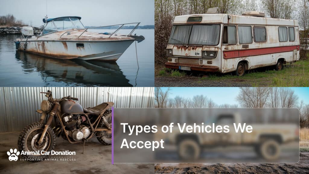 Types of Vehicles We Accept