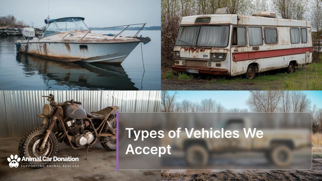 Types of Vehicles We Accept