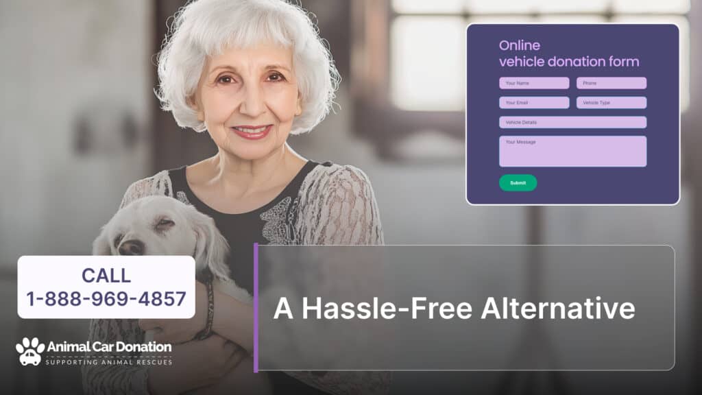 A Hassle-Free Alternative