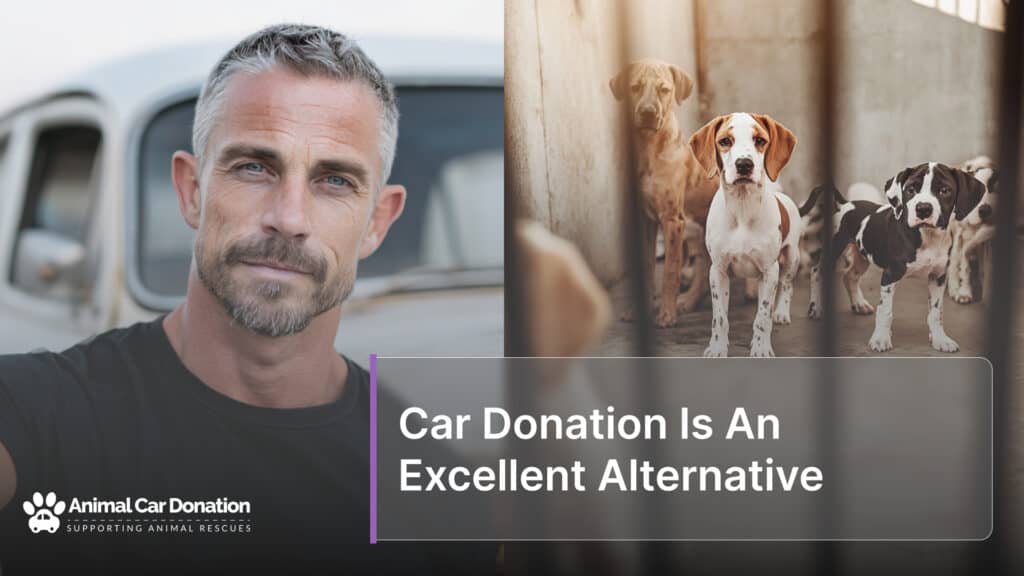 Car Donation Is An Excellent Alternative