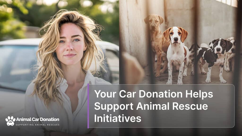Your Car Donation Helps Support Animal Rescue Initiatives