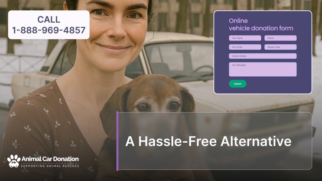 A Hassle-Free Alternative