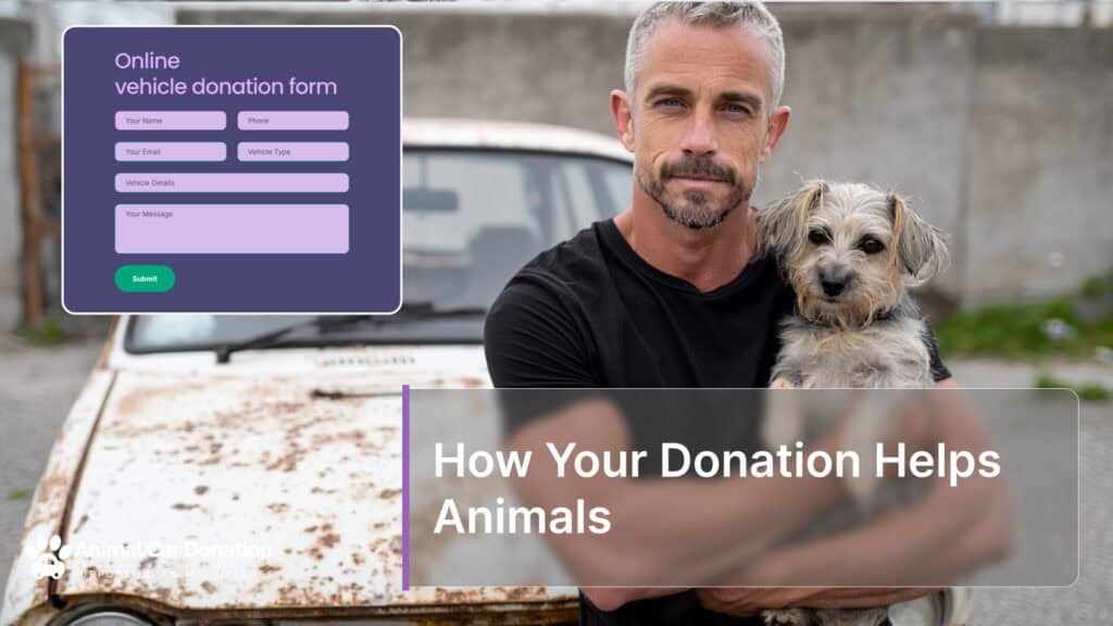 How Your Donation Helps Animals