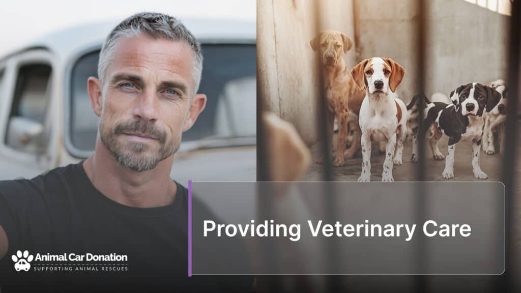 Providing Veterinary Care