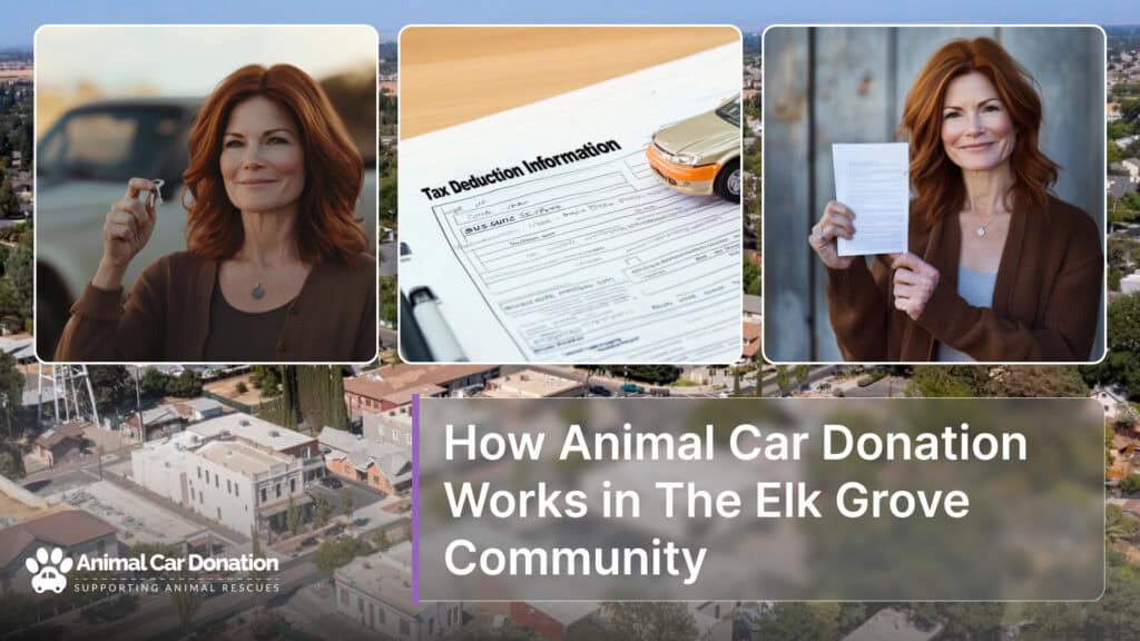 How Animal Car Donation Works in The Elk Grove Community