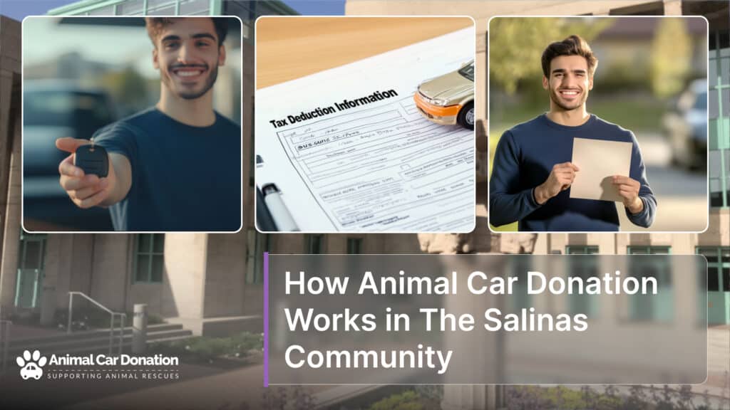 How Animal Car Donation Works in The Salinas Community