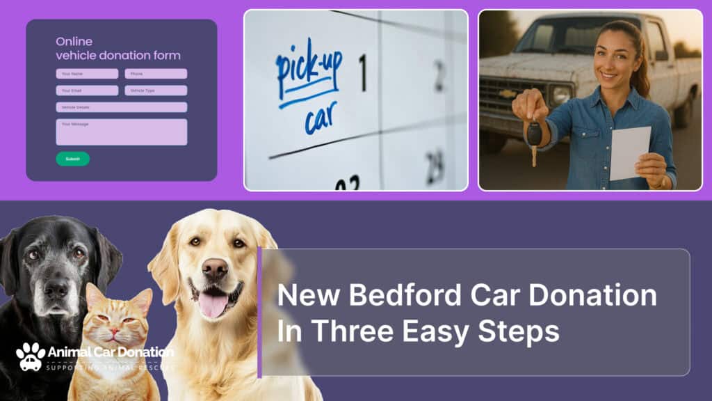 New Bedford Car Donation In Three Easy Steps