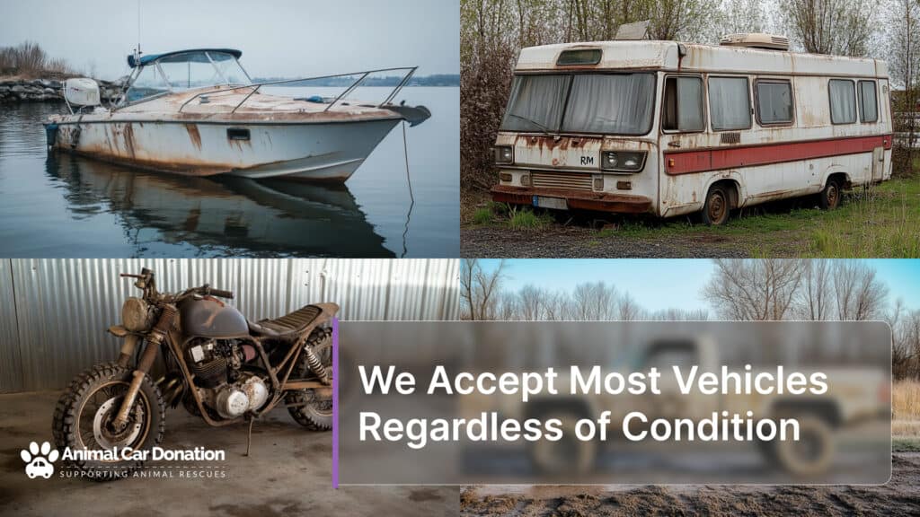 We Accept Most Vehicles Regardless of Condition