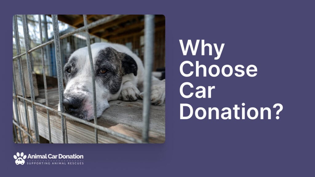 Why Choose Car Donation?