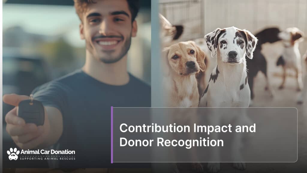 Contribution Impact and Donor Recognition