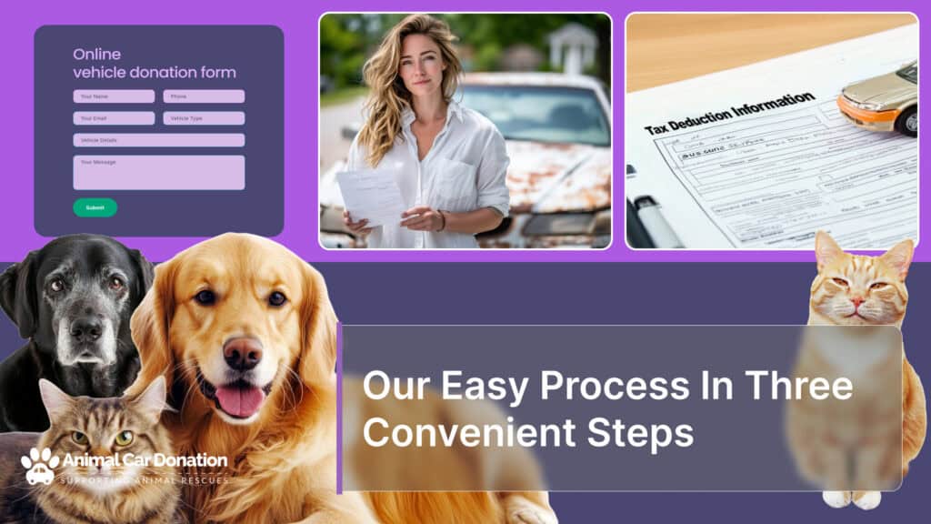 Our Easy Process In Three Convenient Steps