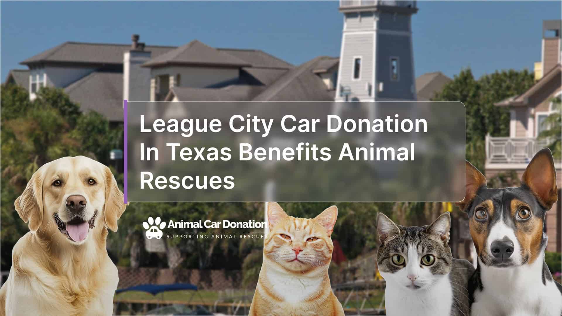 League City Car Registrationnull