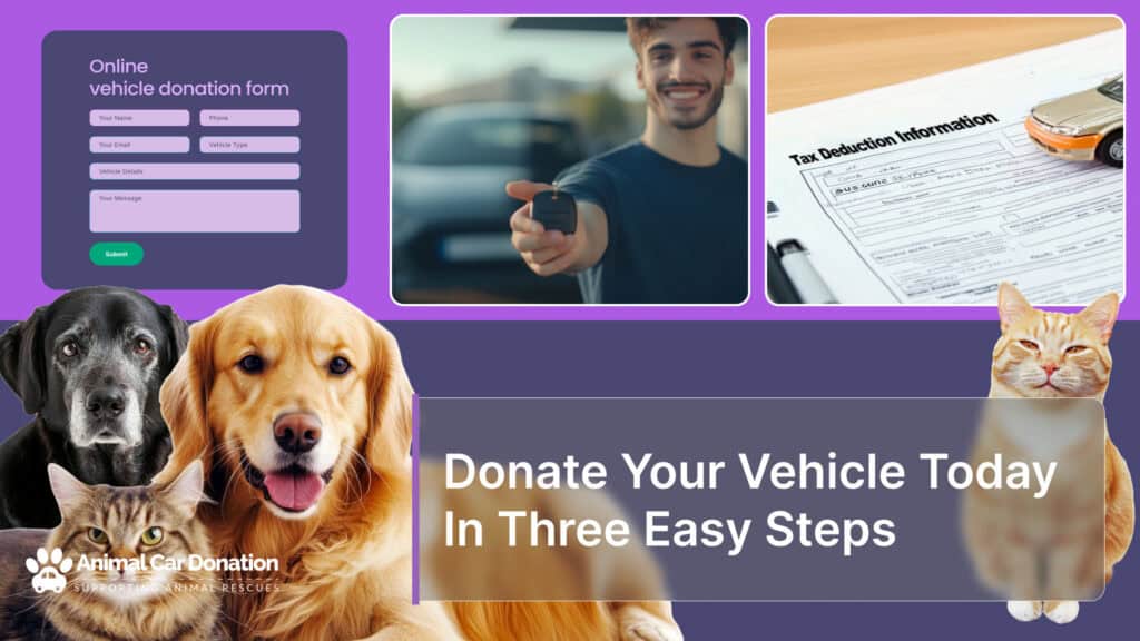 Donate Your Vehicle Today In Three Easy Steps