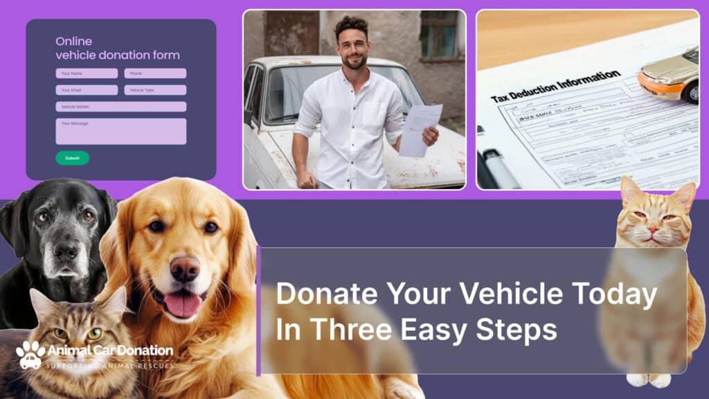 Donate Your Vehicle Today In Three Easy Steps
