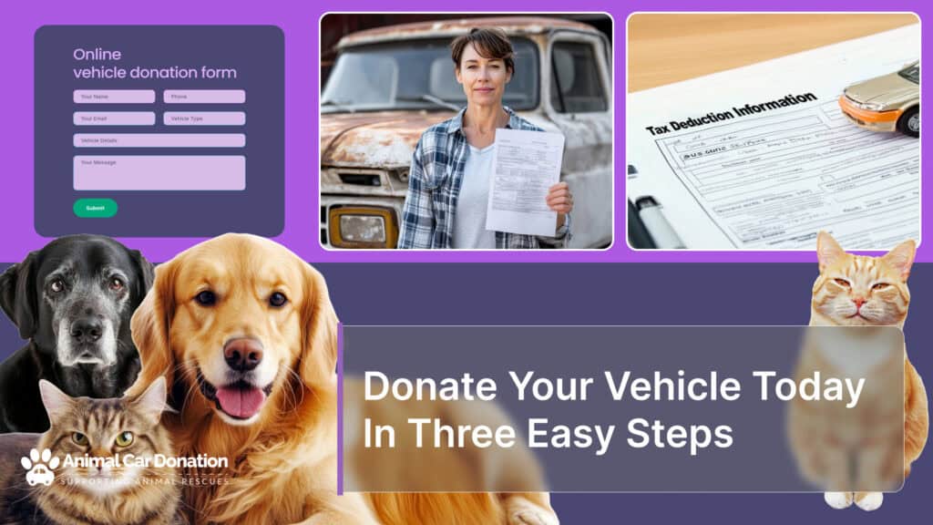 Donate Your Vehicle Today In Three Easy Steps