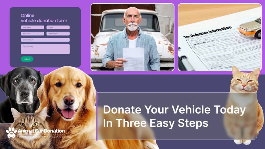 Donate Your Vehicle Today In Three Easy Steps