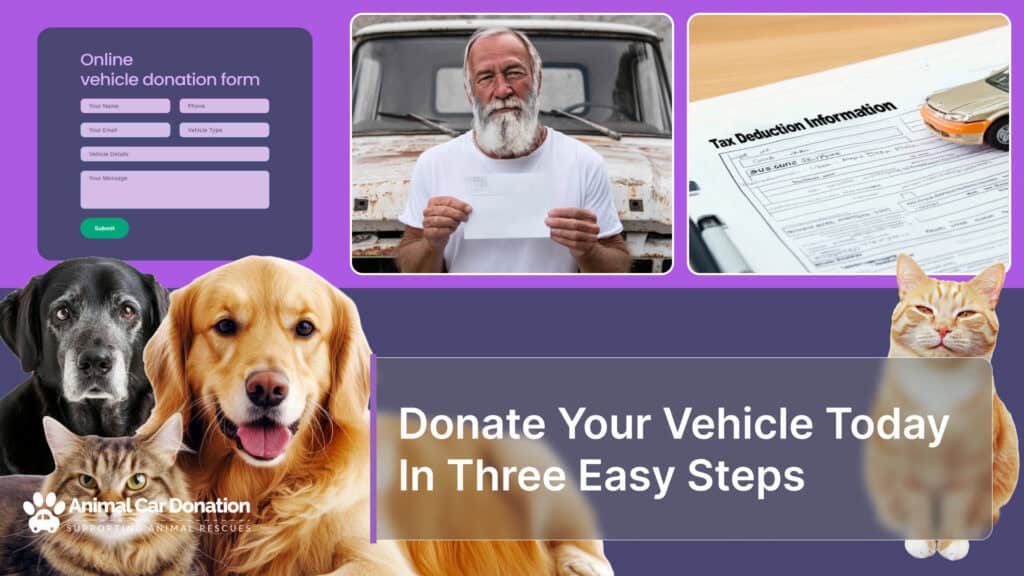 Donate Your Vehicle Today In Three Easy Steps