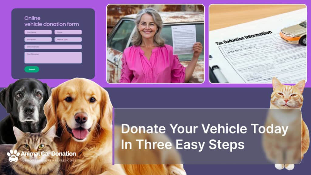 Donate Your Vehicle Today In Three Easy Steps