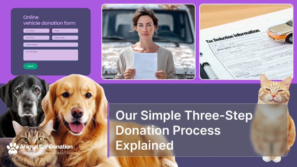 Our Simple Three-Step Donation Process Explained