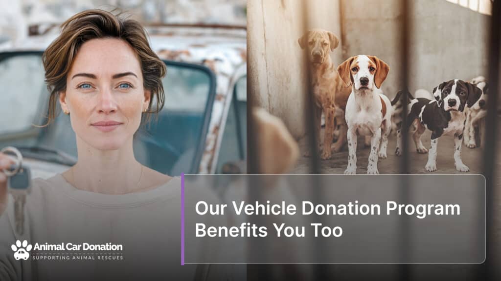 Our Vehicle Donation Program Benefits You Too
