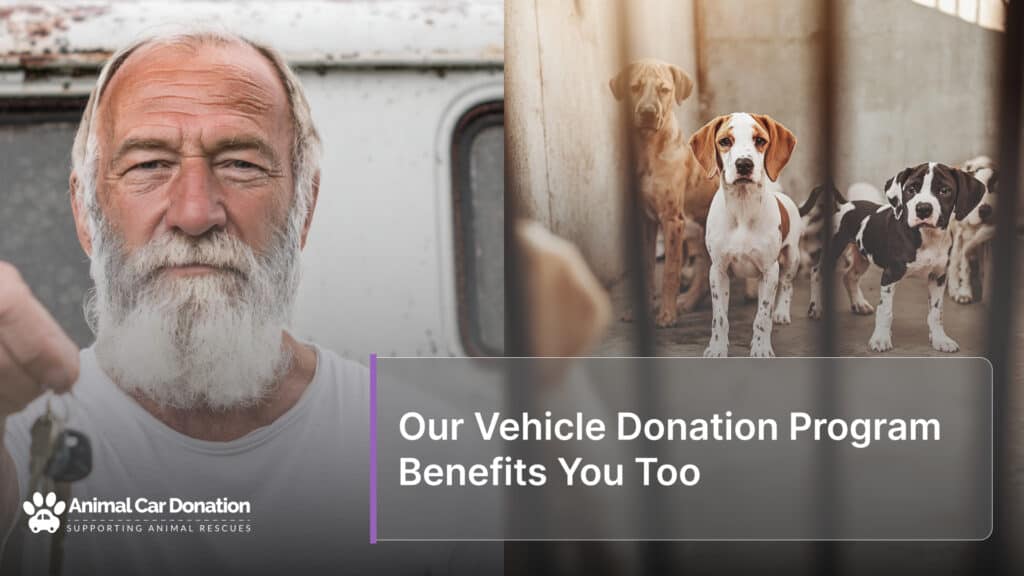Our Vehicle Donation Program Benefits You Too