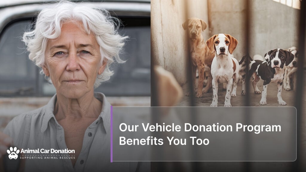 Our Vehicle Donation Program Benefits You Too