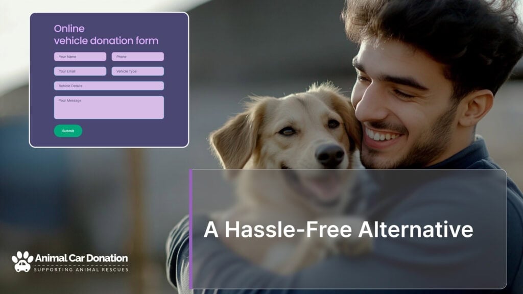 A Hassle-Free Alternative