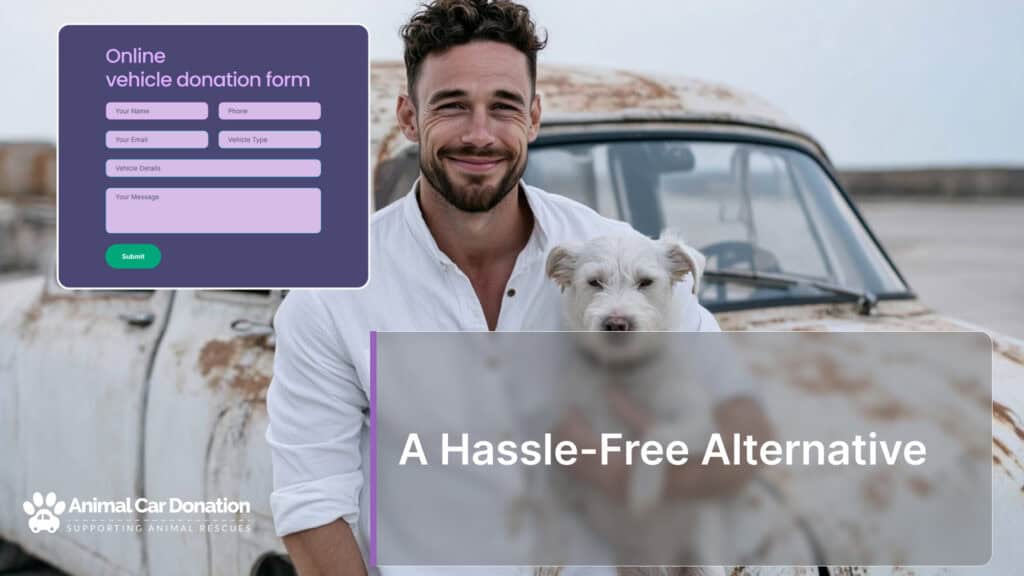 A Hassle-Free Alternative