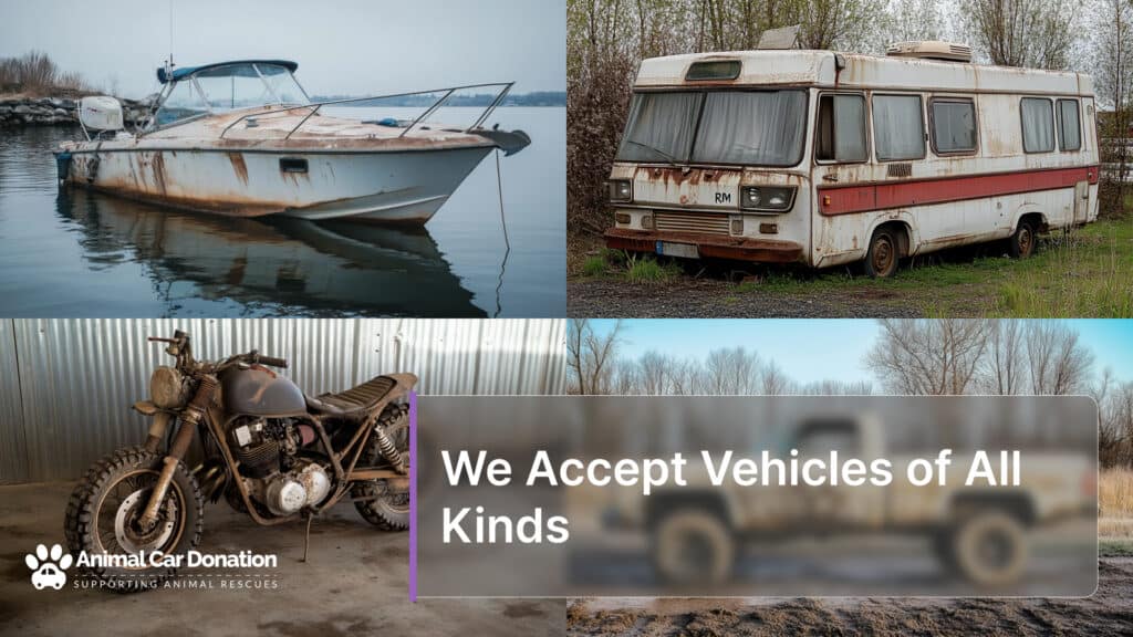 We Accept Vehicles of All Kinds