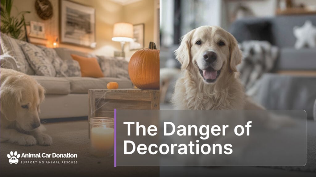 The Danger of Decorations